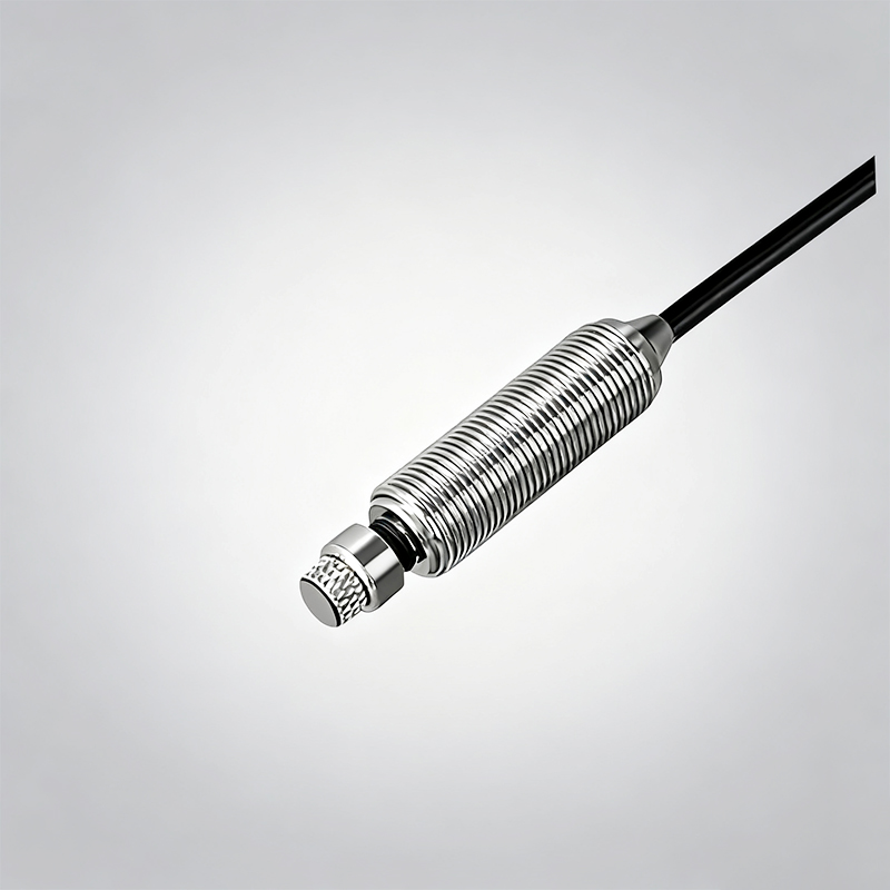 圖片關(guān)鍵詞